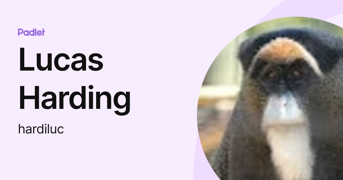 Lucas Harding (hardiluc) profile | Padlet