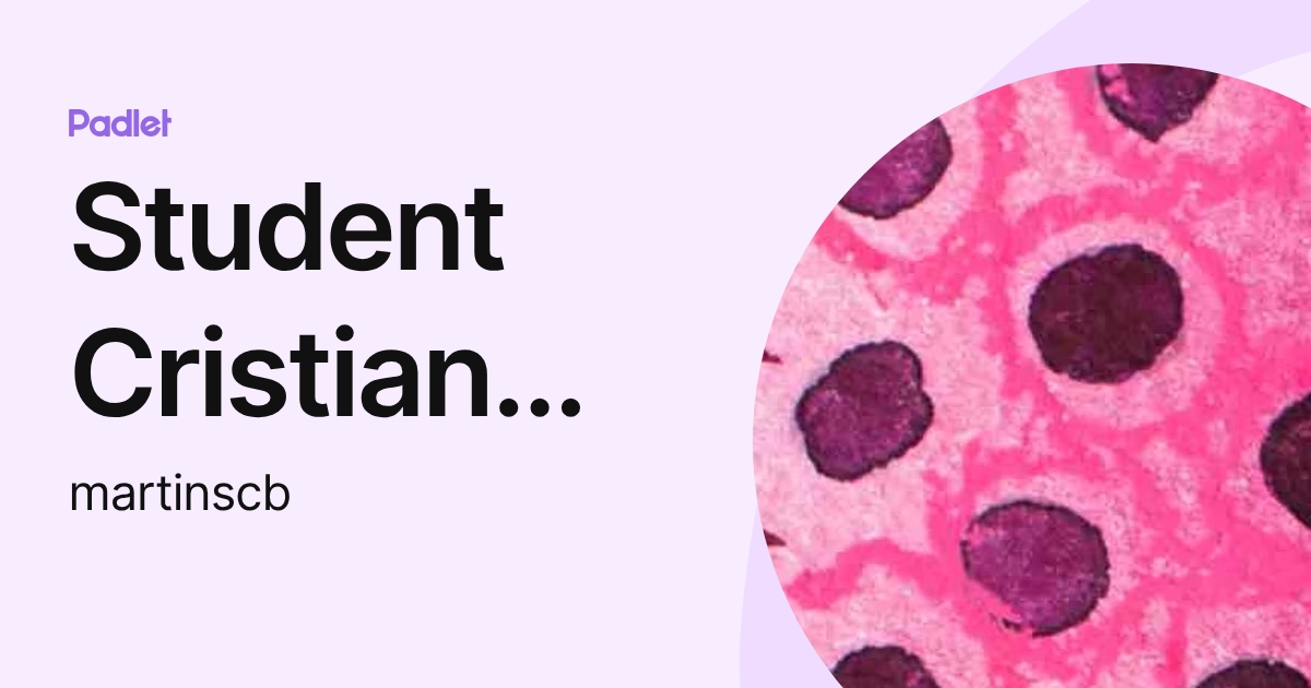 Student Cristian Martins (martinscb) profile | Padlet