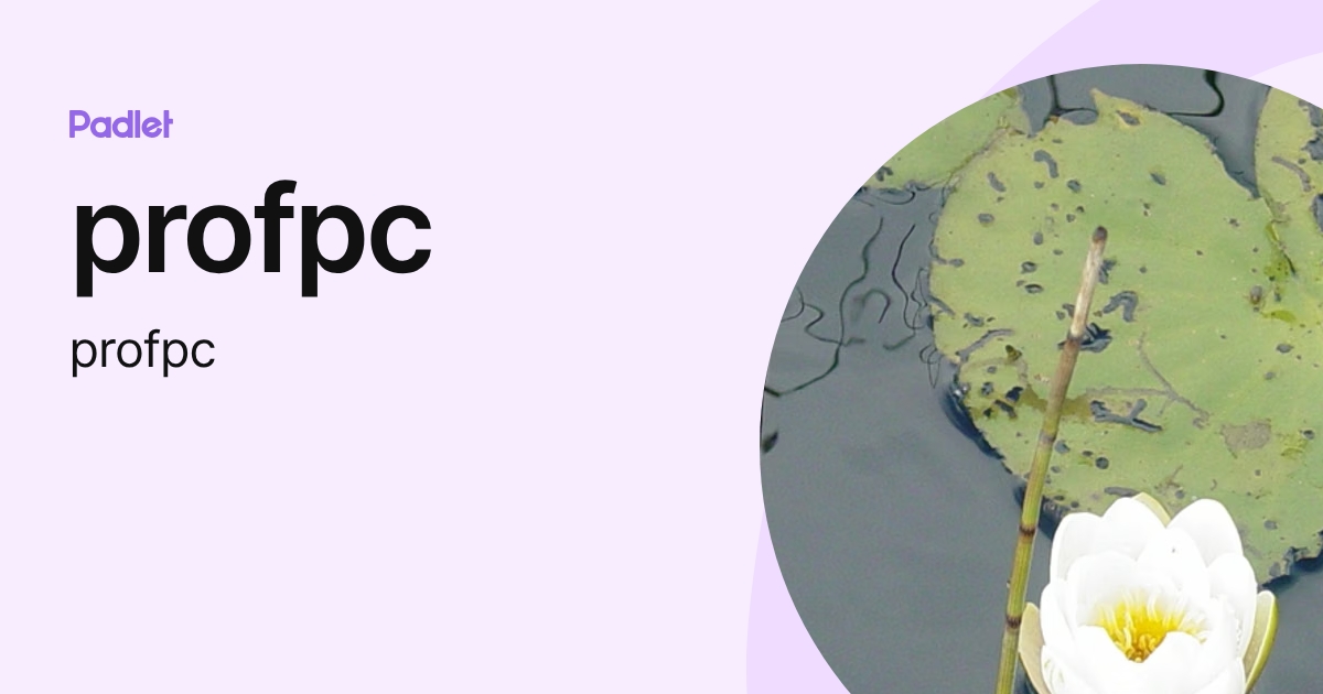 profpc (profpc) profile | Padlet