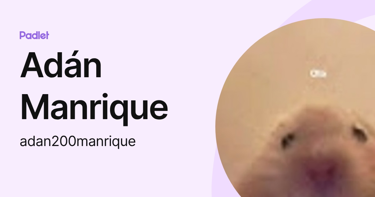 Adán Manrique (adan200manrique) profile | Padlet