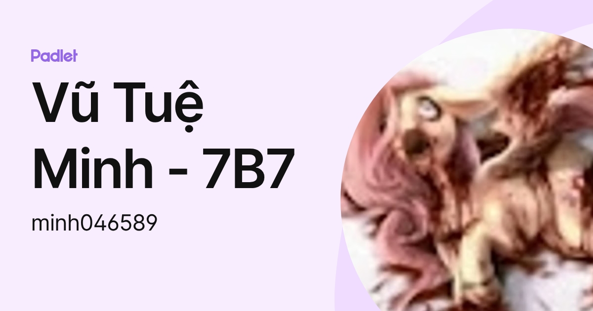 Vũ Tuệ Minh - 7B7 (minh046589) profile | Padlet