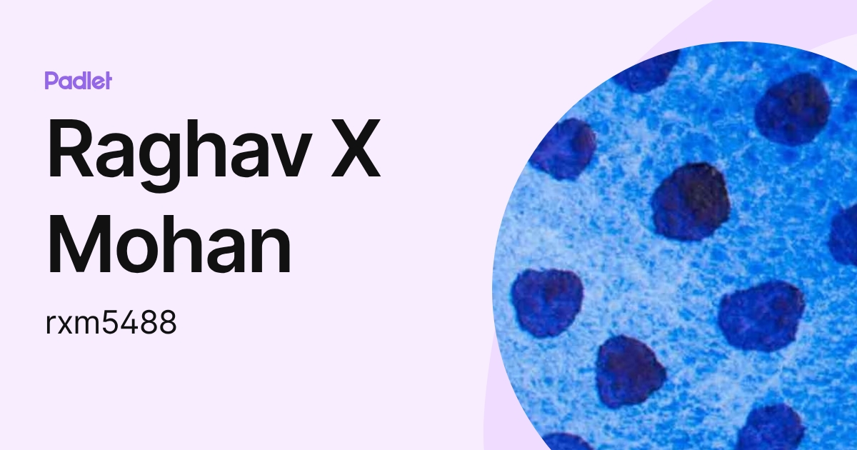 Raghav X Mohan (rxm5488) profile | Padlet
