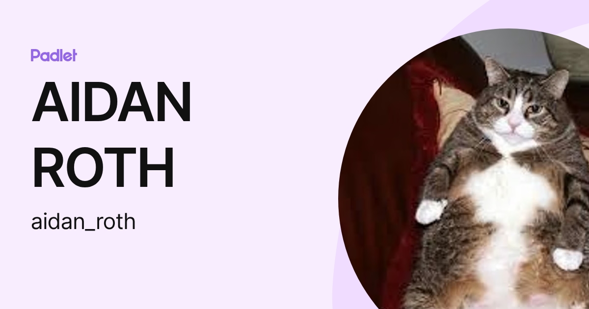 AIDAN ROTH (aidan_roth) profile | Padlet