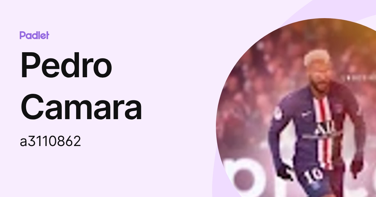 Pedro Camara (a3110862) profile | Padlet