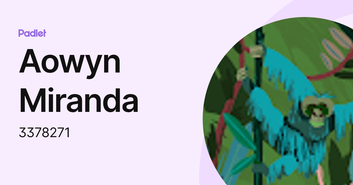 Aowyn Miranda (3378271) profile | Padlet