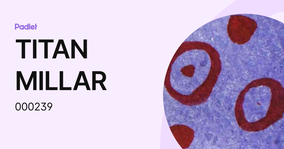 TITAN MILLAR (000239) profile | Padlet