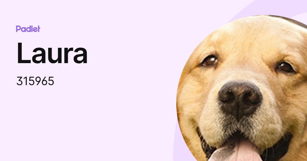 Laura (315965) profile | Padlet
