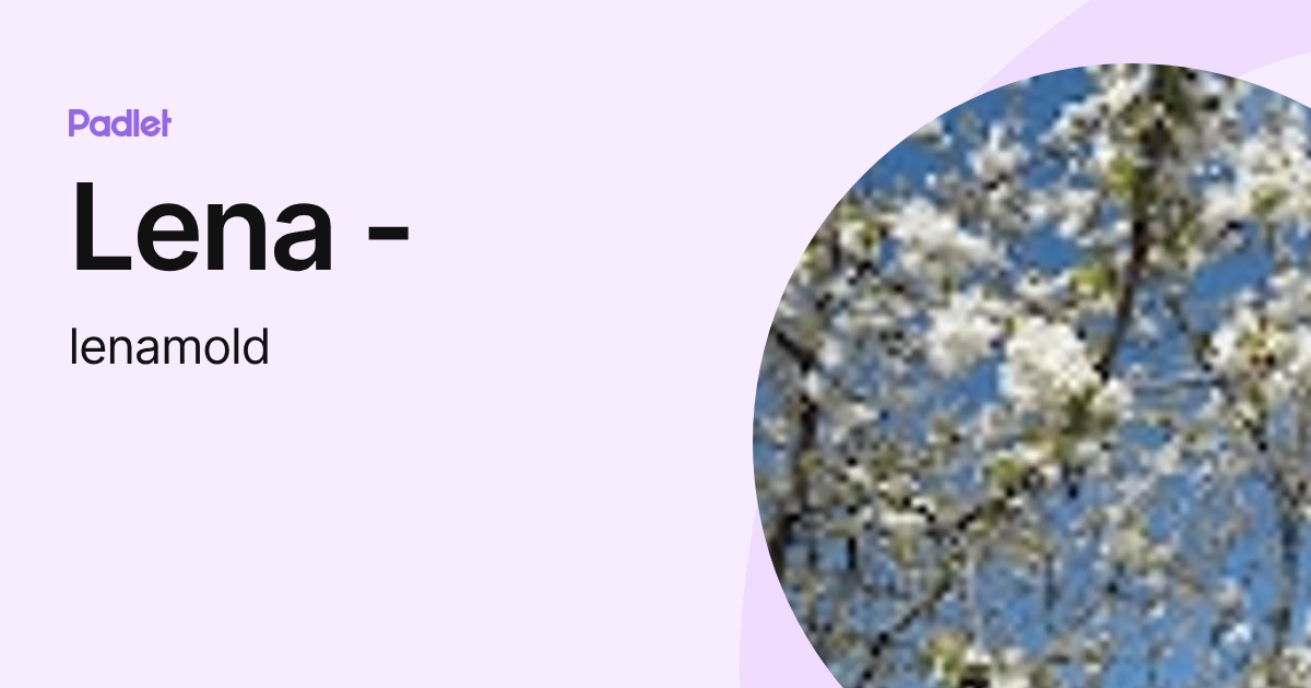 Lena - (lenamold) profile | Padlet
