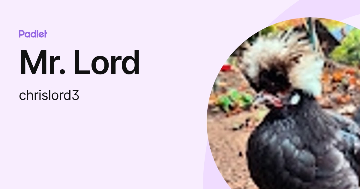 Chris L (chrislord3) profile | Padlet