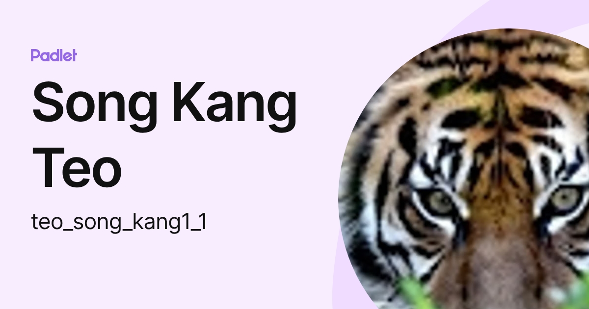 Song Kang Teo (teo_song_kang1_1) profile | Padlet