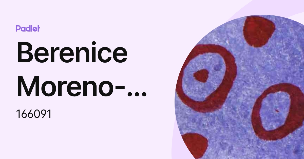 Berenice Moreno-Corona (166091) profile | Padlet