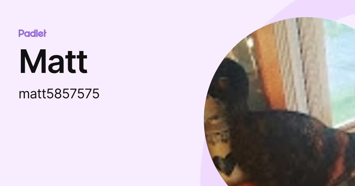 Matt (matt5857575) profile | Padlet