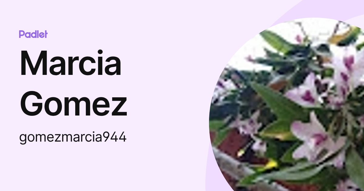 Marcia Gomez (gomezmarcia944) profile | Padlet
