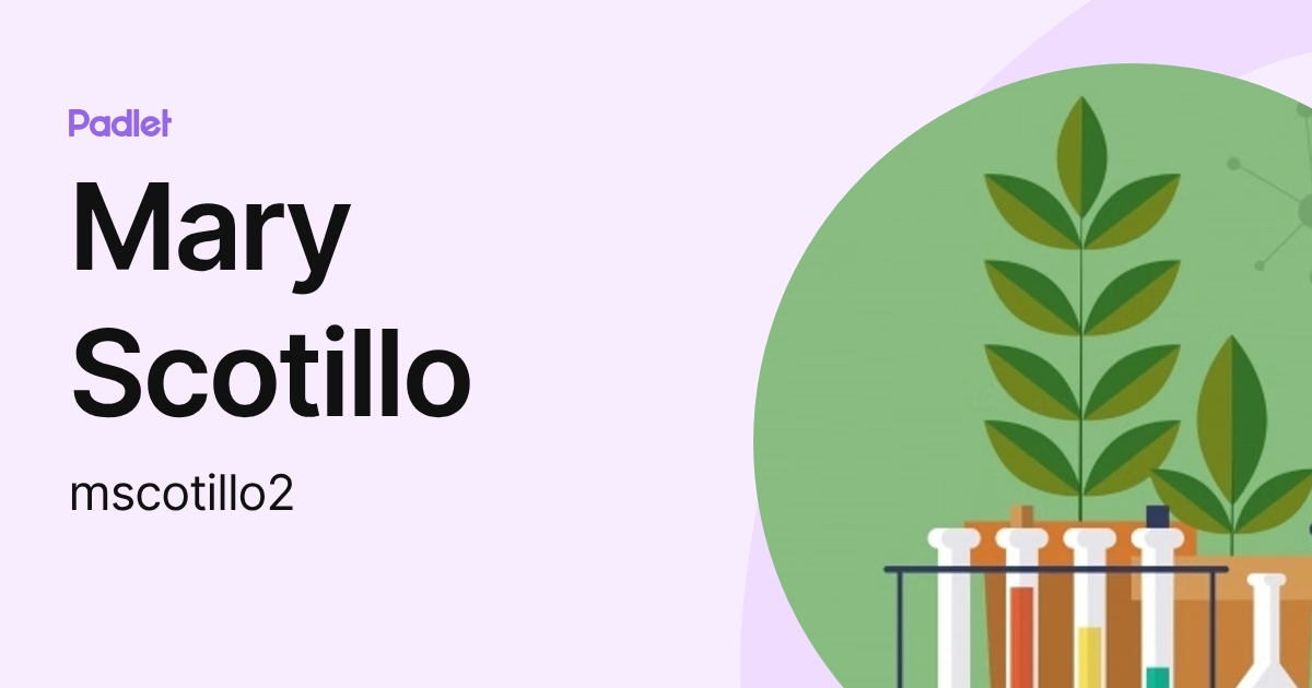 Mary Scotillo (mscotillo2) profile | Padlet