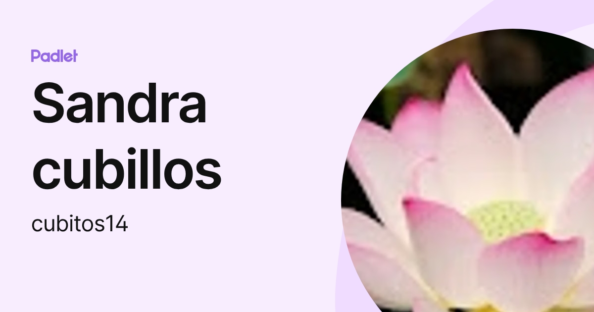 Sandra cubillos (cubitos14) profile | Padlet