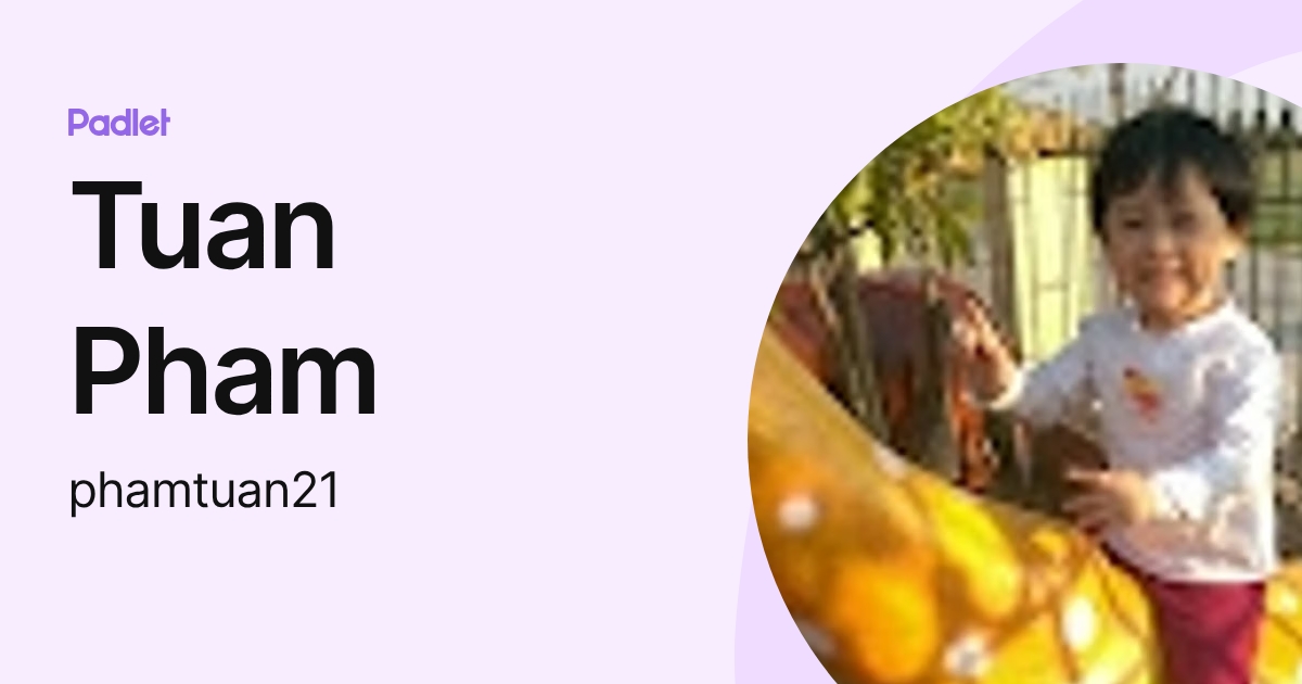 Tuan Pham (phamtuan21) profile | Padlet