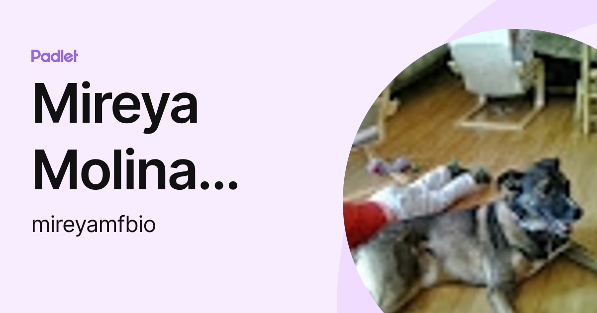 Mireya Molina Fernández (mireyamfbio) profile | Padlet