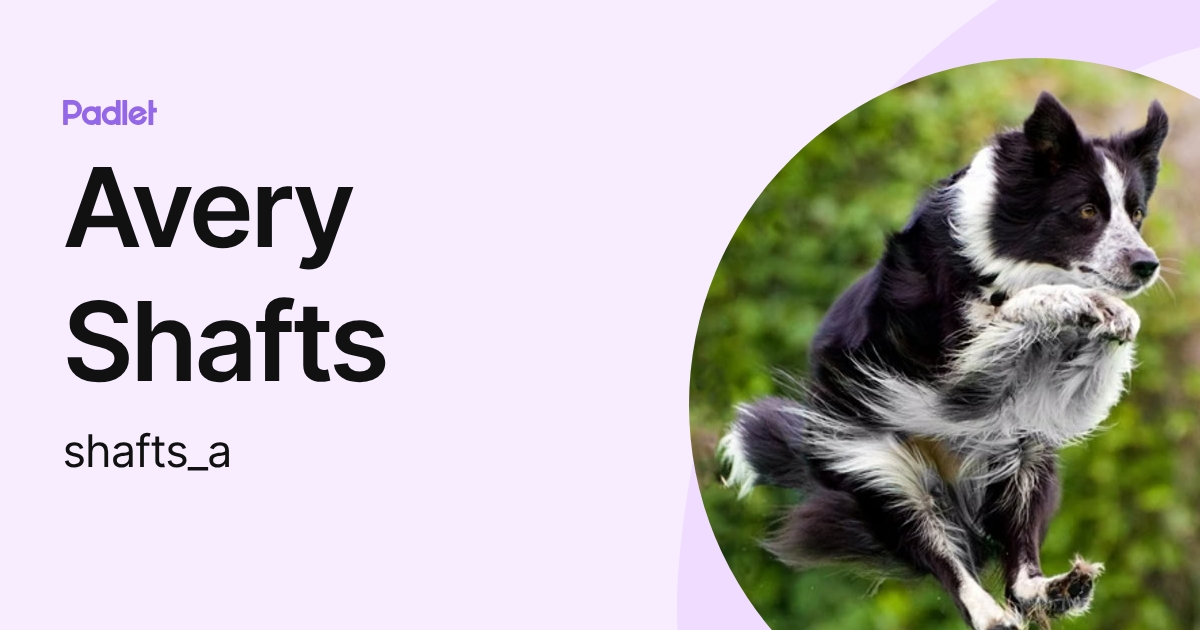 Avery Shafts (shafts_a) profile | Padlet