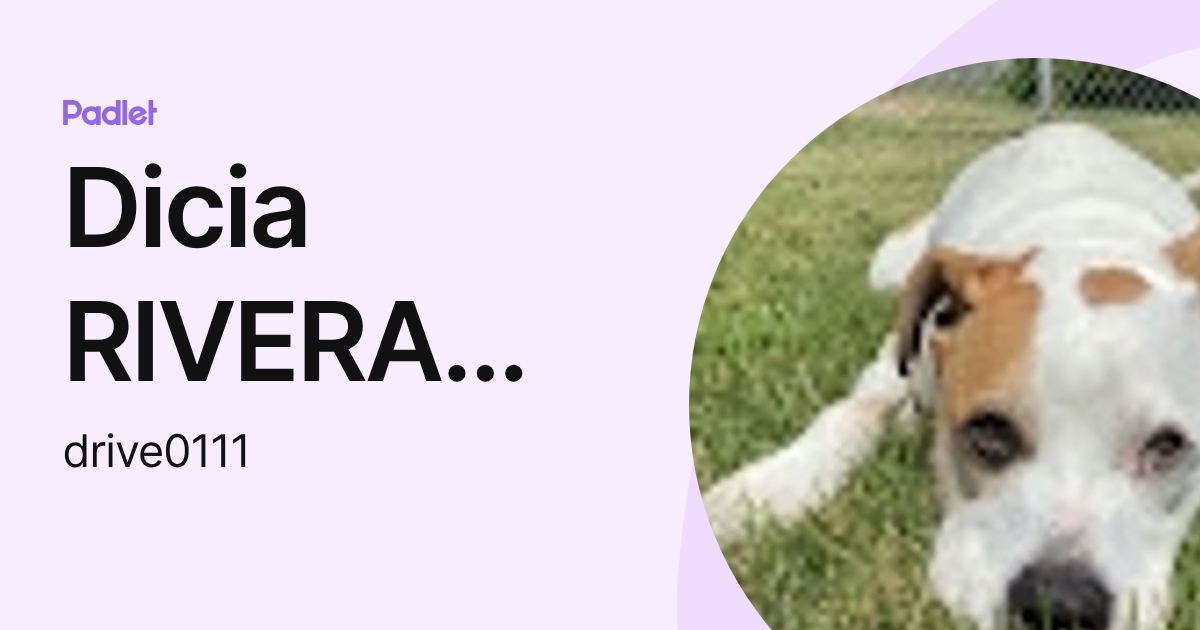 Dicia RIVERA CHAVEZ (drive0111) profile | Padlet