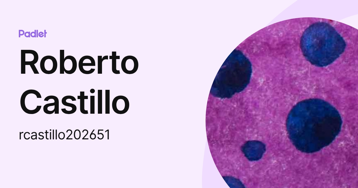 Roberto Castillo (rcastillo202651) profile | Padlet