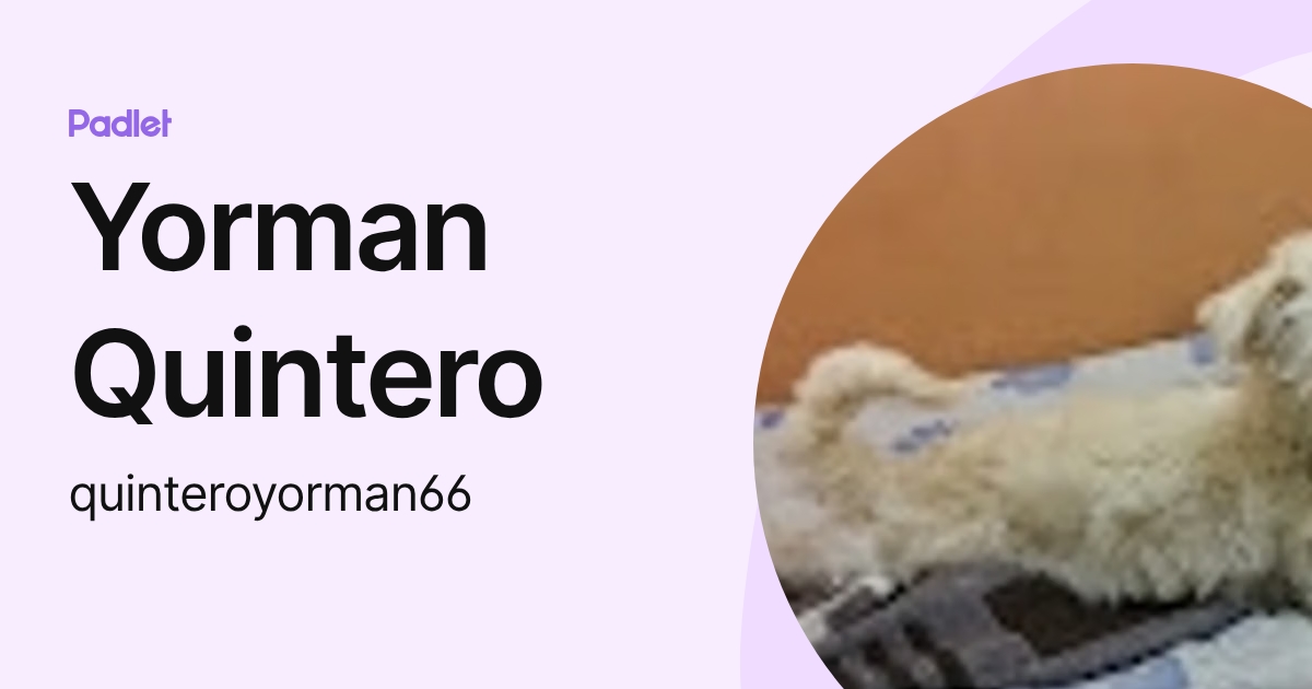 Yorman Quintero (quinteroyorman66) profile | Padlet