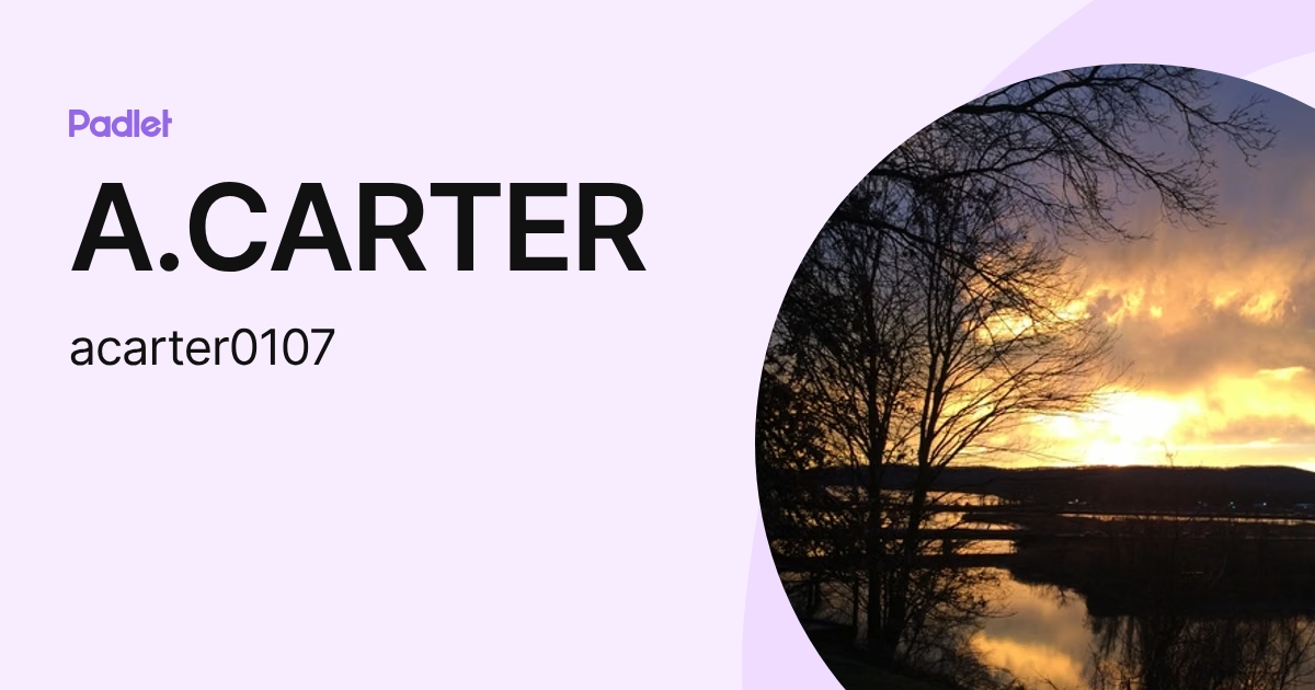 A.CARTER (acarter0107) profile | Padlet