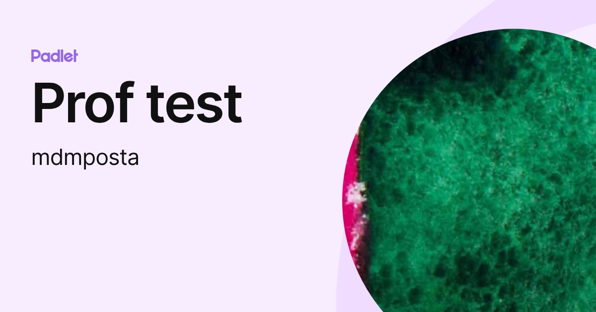 Prof test (mdmposta) profile | Padlet