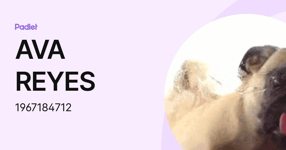 AVA REYES (1967184712) profile | Padlet