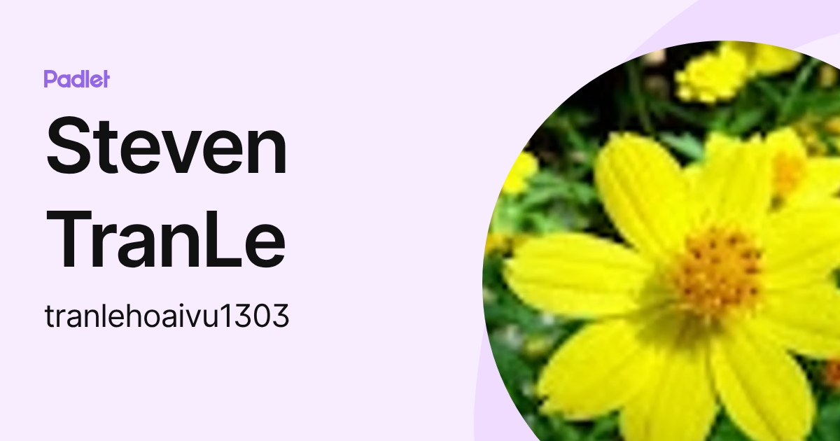 Steven TranLe (tranlehoaivu1303) profile | Padlet