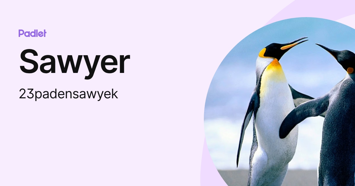 Sawyer (23padensawyek) profile | Padlet