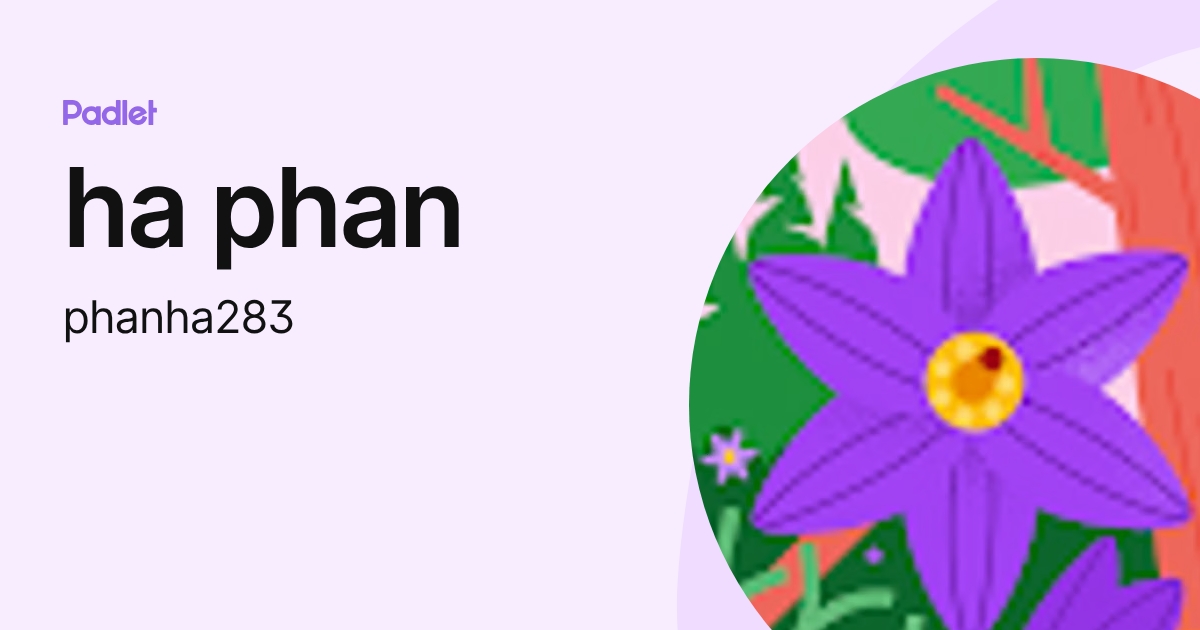 ha phan (phanha283) profile | Padlet