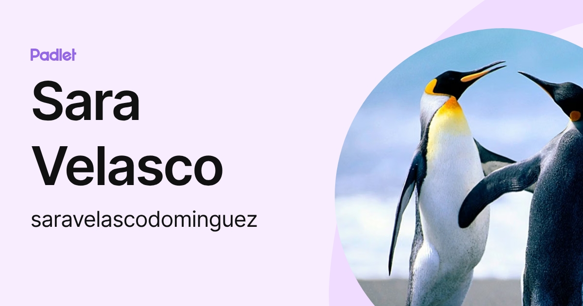 Sara Velasco (saravelascodominguez) profile | Padlet