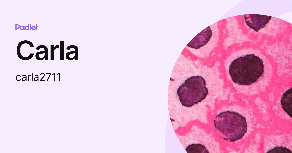 Carla (carla2711) profile | Padlet