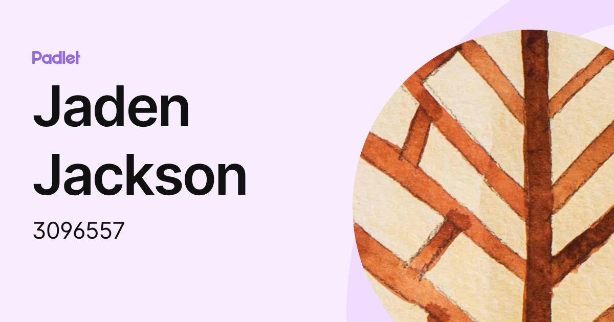 Jaden Jackson (3096557) profile | Padlet