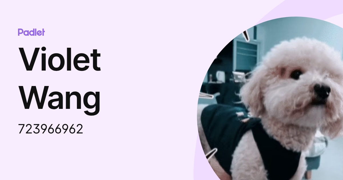 Violet Wang (723966962) profile | Padlet