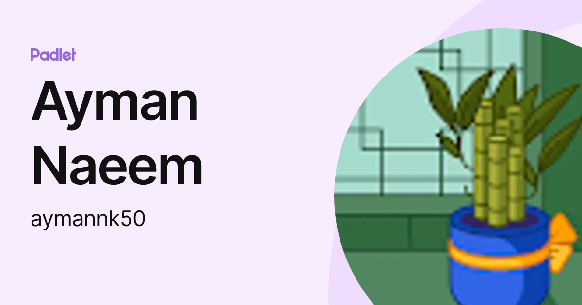 Ayman Naeem (aymannk50) profile | Padlet