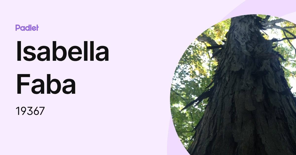 Isabella Faba (19367) profile | Padlet