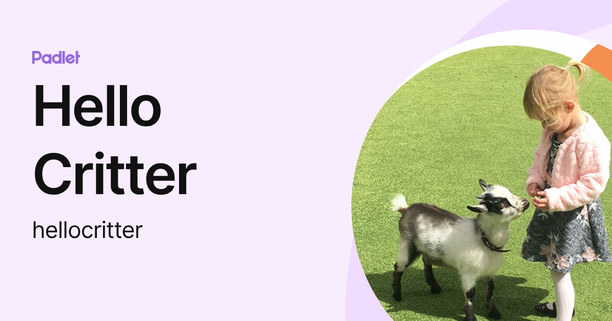 Hello Critter (hellocritter) profile | Padlet