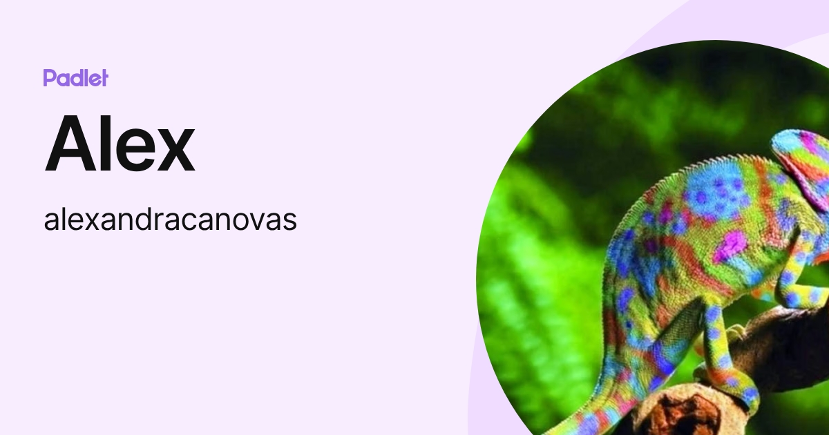 Alex (alexandracanovas) profile | Padlet