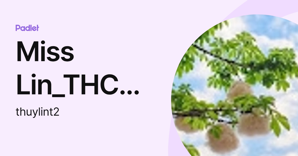 Miss Lin_THCS Tân Hiệp (thuylint2) profile | Padlet