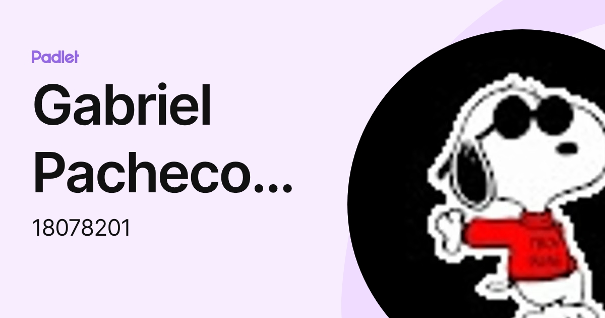 Gabriel Pacheco Lobo (18078201) profile | Padlet