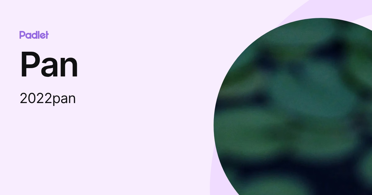 Pan (2022pan) profile | Padlet