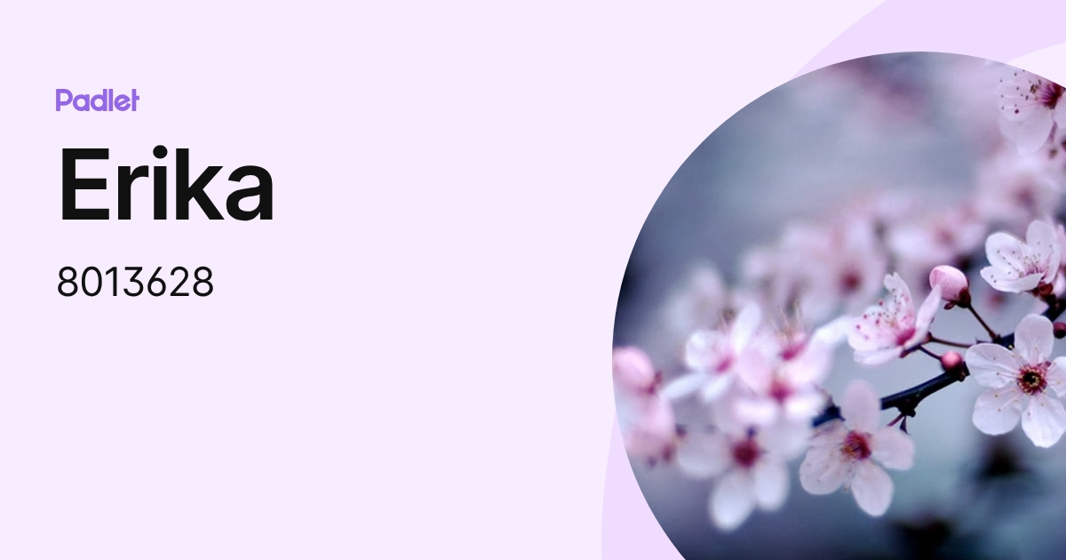 Erika (8013628) profile | Padlet