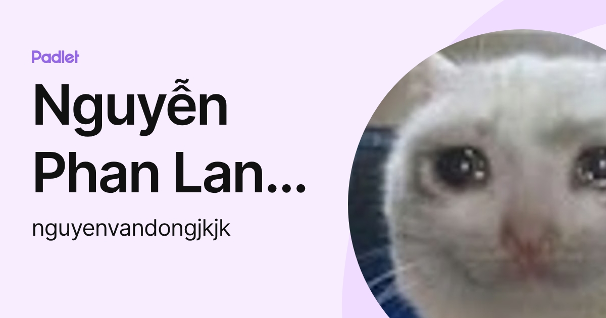 Nguyễn Phan Lan Anh (nguyenvandongjkjk) profile | Padlet