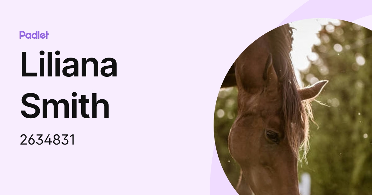 Liliana Smith (2634831) profile | Padlet
