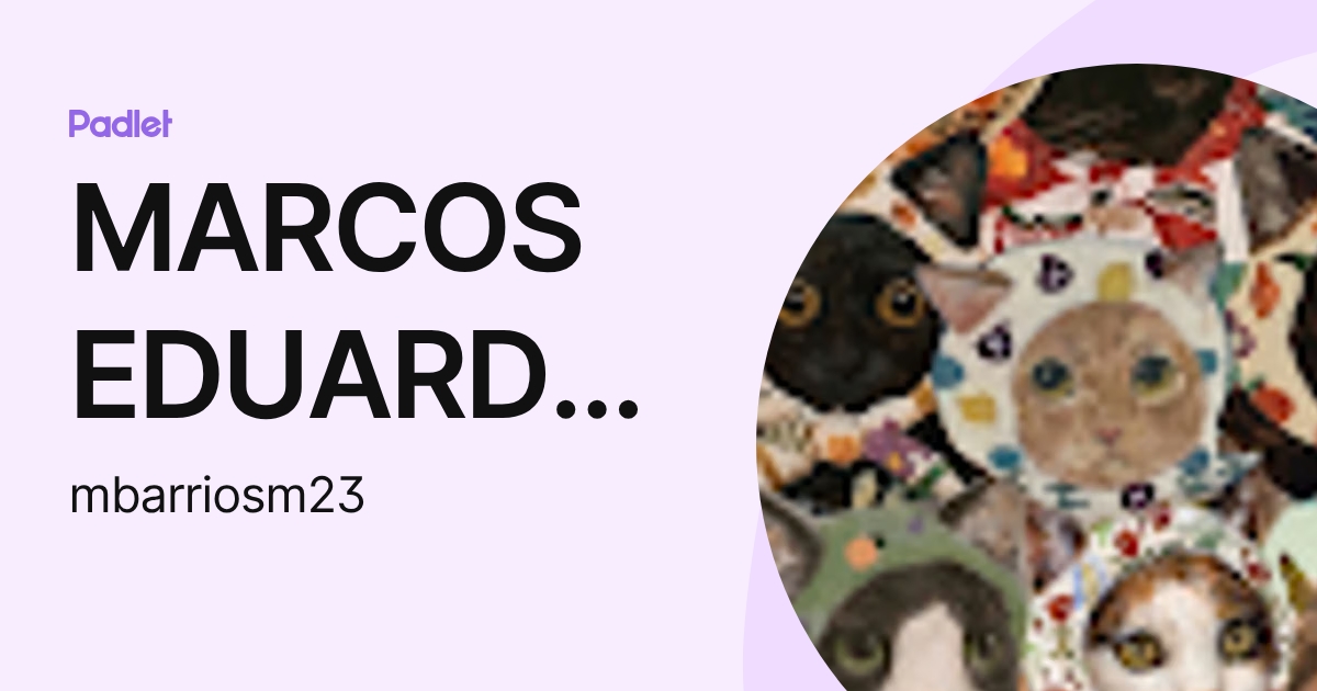 MARCOS EDUARDO BARRIOS MAZARIEGOS (mbarriosm23) profile | Padlet