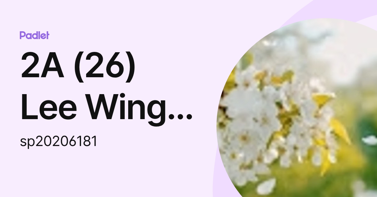 2A (26) Lee Wing Yin (sp20206181) profile | Padlet