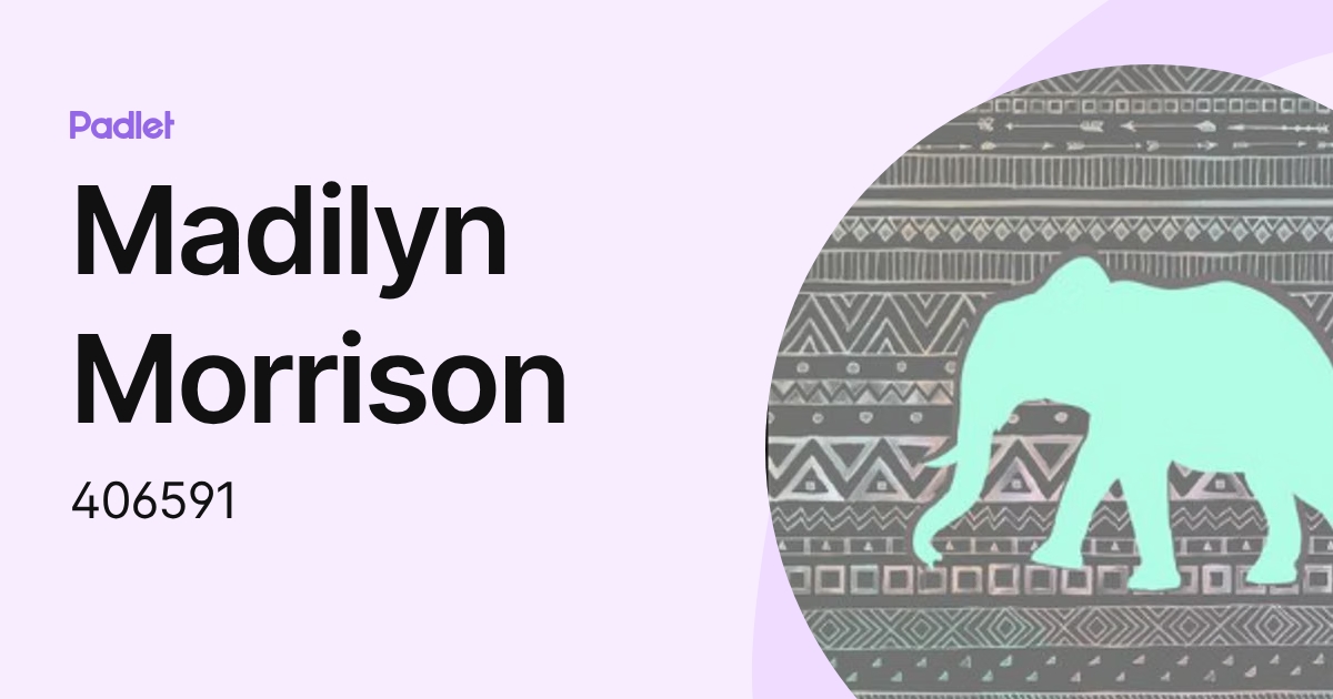 Madilyn Morrison (406591) profile | Padlet