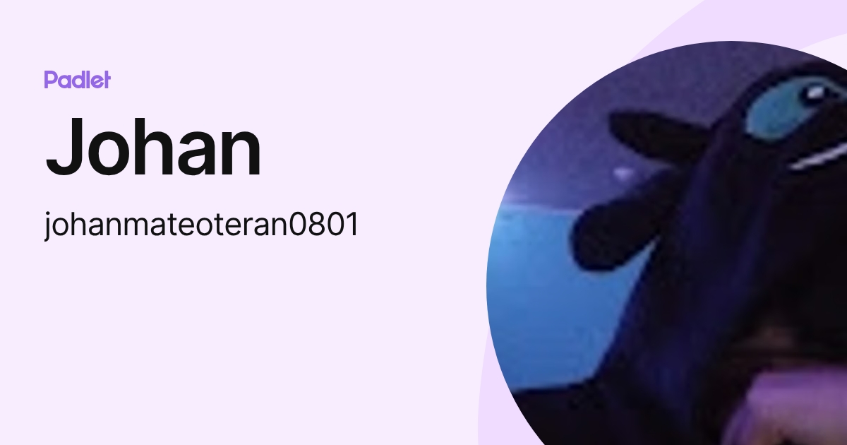 Johan (johanmateoteran0801) profile | Padlet