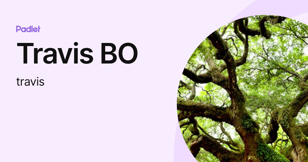 Travis BO (travis) profile | Padlet